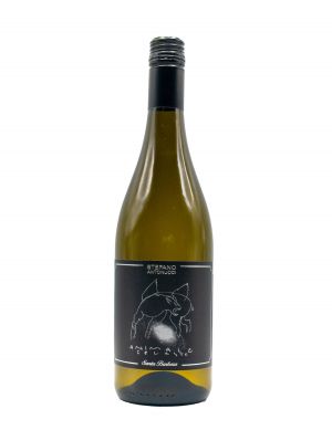 Sauvignon Santa Barbara 'Animale Celeste' 2023