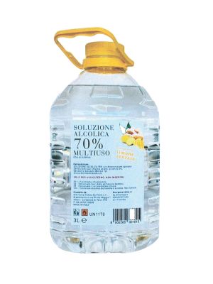 Soluzione Alcolica Zenzero E Limone Da Ponte 70% lt 3