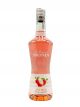 Monin Liquore Litchi