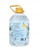 SOLUZIONE ALCOLICA ZENZERO E LIMONE DA PONTE 70% lt 3