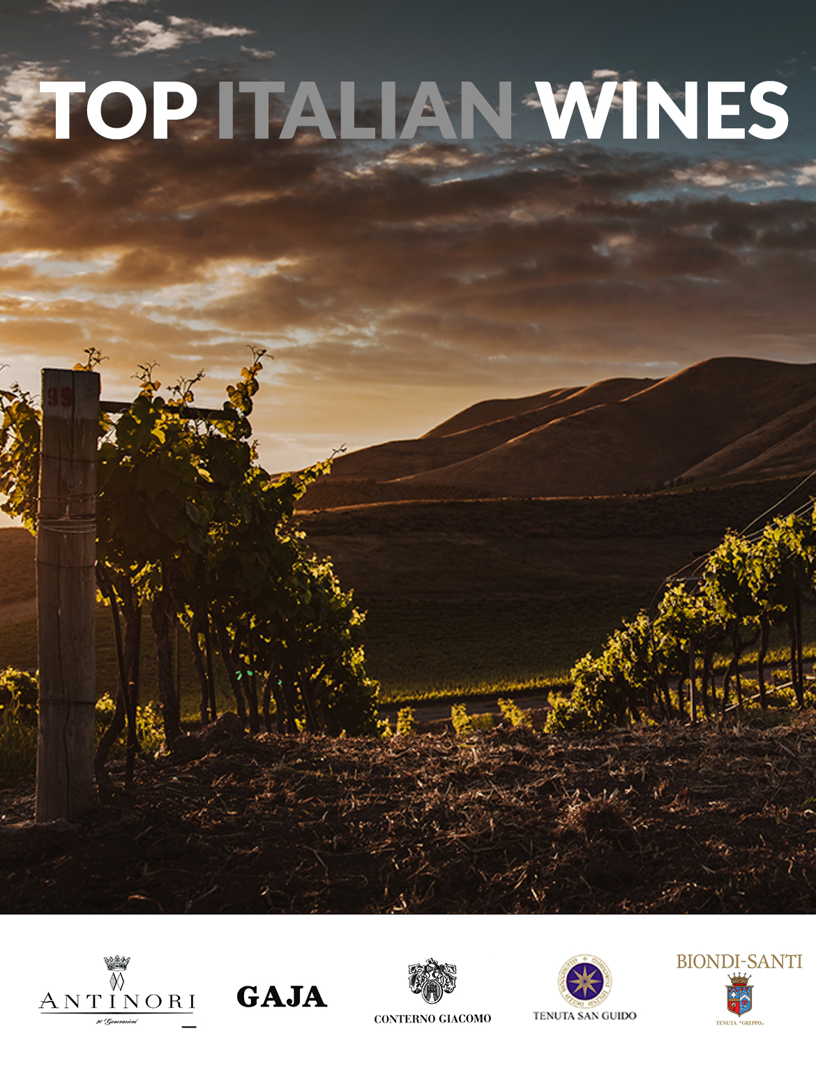 Italian Wines on offer